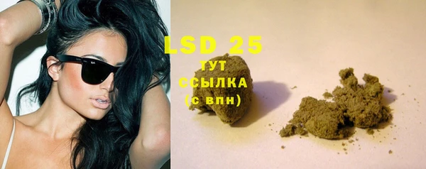 дурь Алзамай